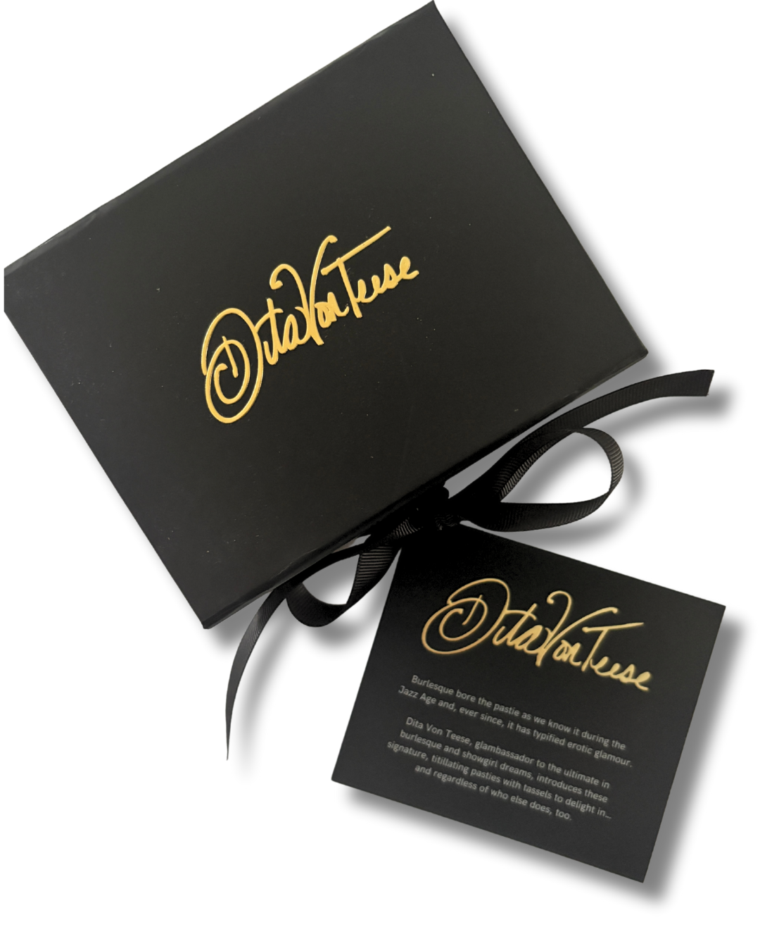 DITA VON TEESE Erotique Faux Leather, Silver Chain & Gem Pasties with Removable Tassels (2pcs)